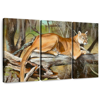 Florida Panther