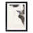 Black Framed selected