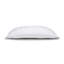 Mane Blanc Lumbar Outdoor Rectangular Sunbrella® Pillow Cover & Insert-64695133