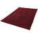 Powder Hand Woven Red Indoor Rug