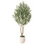 Olive artificielle Ashwell avec pot blanc-155919472
