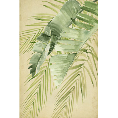 Banana Palms II
