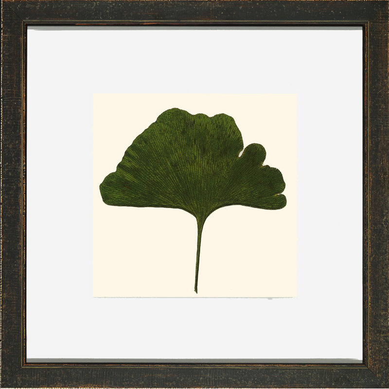 Small Pressed Leaves II Print