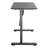 Lairey Adjustable Metal Base Standing Desk