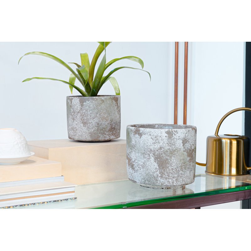 Haruna Pot Planter, 13cm H x 15cm W x 15cm D