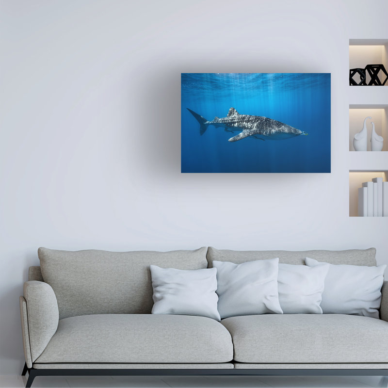 Contemporary, 32" W x 22" H