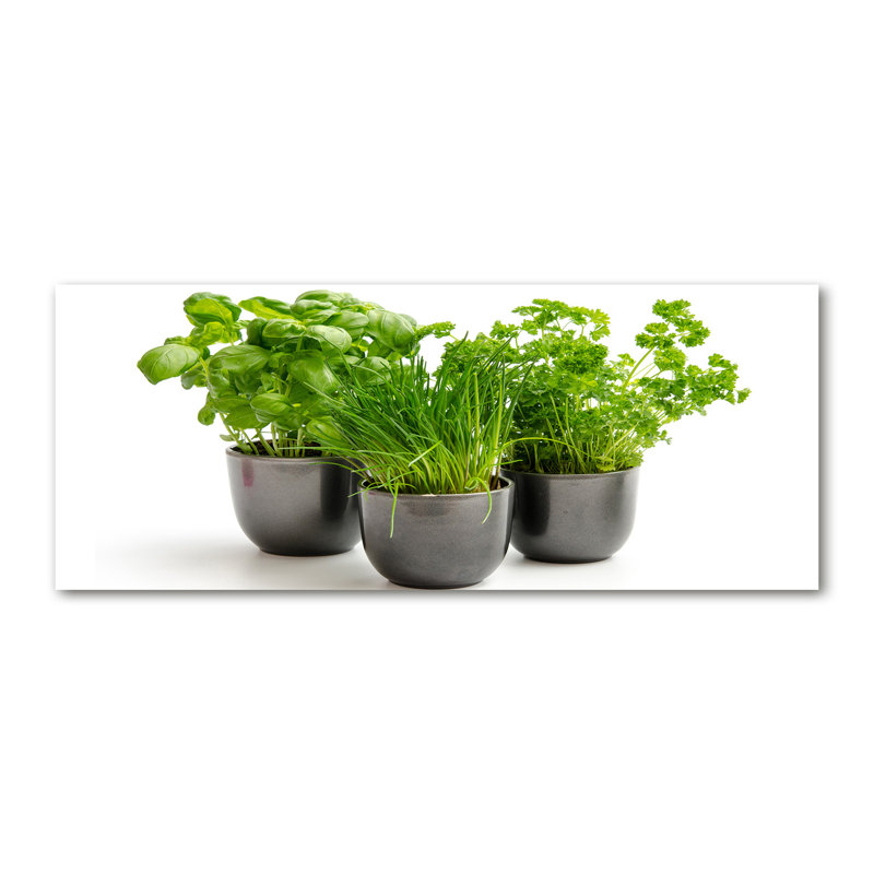 Herbs In Pots - Print, Wrapped Canvas, 50cm H x 125cm W x 2cm D