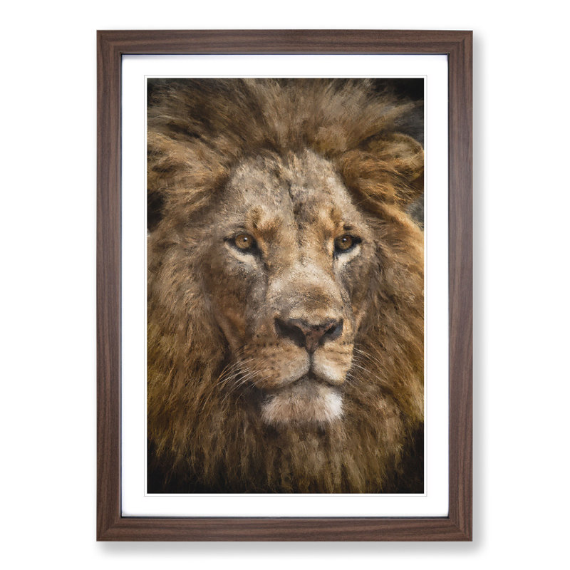 Face of a Lion - Framed Print, Walnut Framed, 36cm H x 27cm W x 2cm D