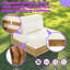 Coussins hydrofuges surdimensionnés simples en bois d'acacia