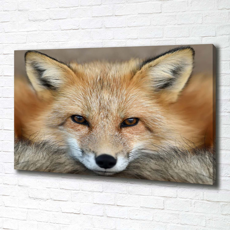 Fox - Wrapped Canvas Print