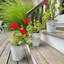 Ensemble de pots à fleurs Ameia