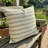 Winding Road Zest Geometric Reversible Throw Pillow-16245134