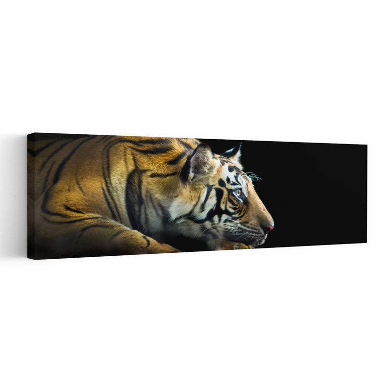 Tigre du Bengale, Inde, art mural contemporain, H 20 po x l 60 po