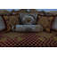 Saint Germain Loveseat-1337949477