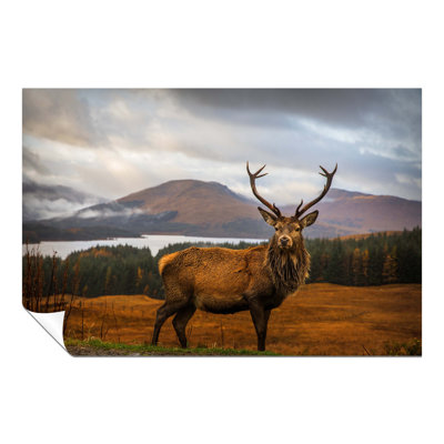 Red Deer On Highlands Wildlife - Wrapped Canvas Print