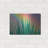 " Prism Plant " by Dennis Frates-1155572050