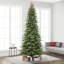 Hachmin 10' Lighted Artificial Fir Christmas Tree
