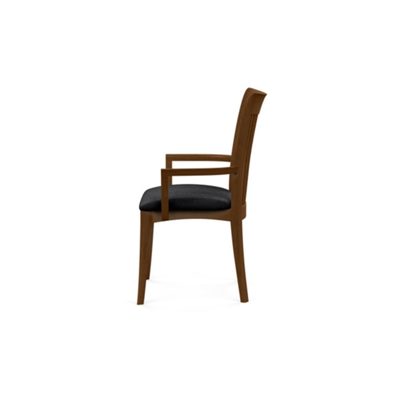 Sarah 19.25'' H Upholstered Armchair, Saddle Cherry, Onyx Microsuede