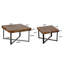 Ensemble de 2 tables basses