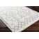 Southwestern Indoor Rug