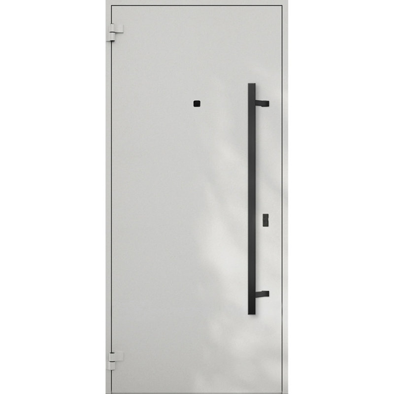 Modern Black Metal Exterior Prehung Door with Sidelites