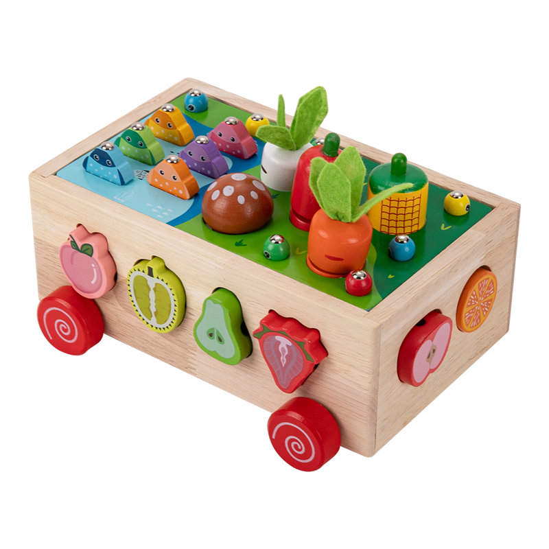 Shape Sorter Toys Set
