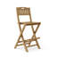 Altavista Outdoor Teak Bar Stool
