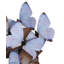 Rue De Bac Lilac Butterflies