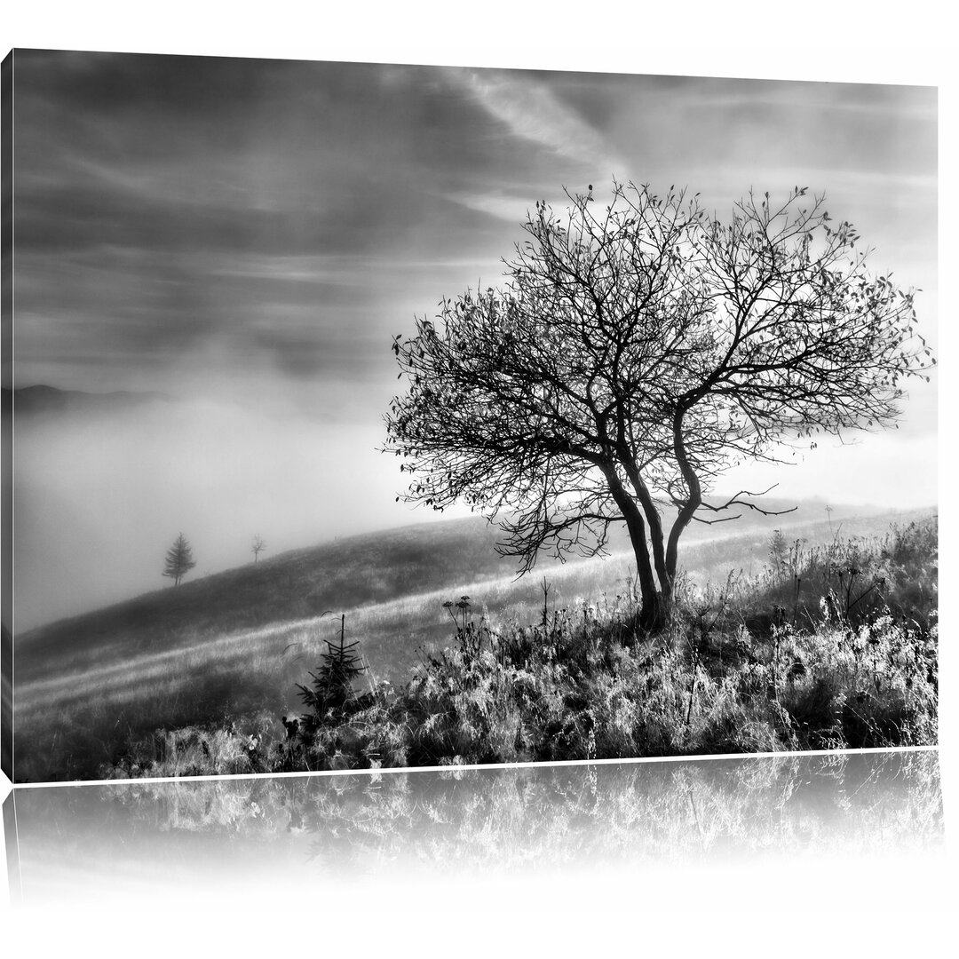 Leinwandbild Baum im hohen Gras in Monochrom