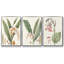 «Soft Tropical I», ensemble de 3 toiles encadrées-97706534-97706535