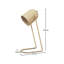 Deiniol Metal Desk Lamp