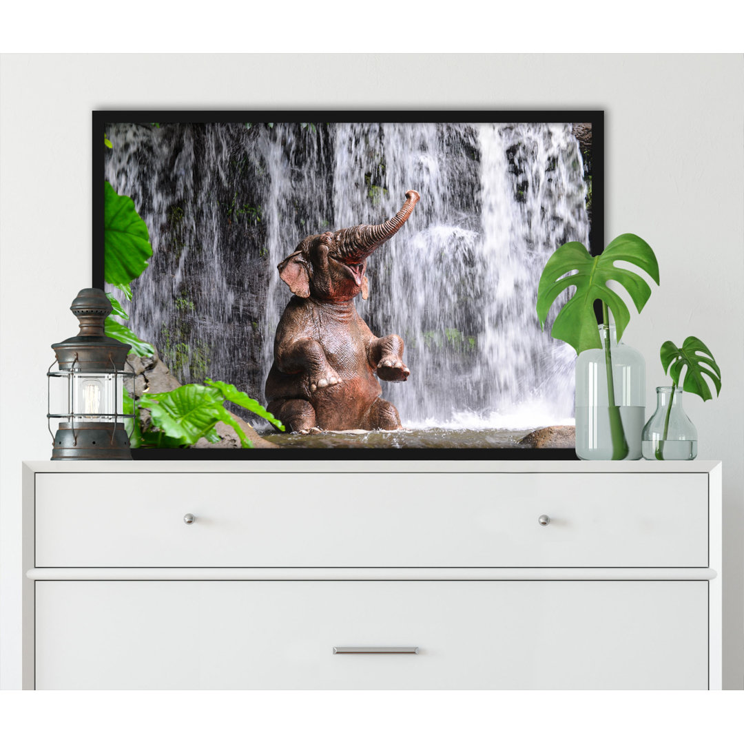 Gerahmtes Poster Baby-Elefant am Wasserfall