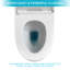 Céramique une toilette: système de chasse d'eau à siphon, siège à fermeture en douceur, haute teneur en porcelaine, faible absorption d'eau, élégant, chasse d'eau des pièces de toilette, glacis, look moderne, hauteur de la chaise