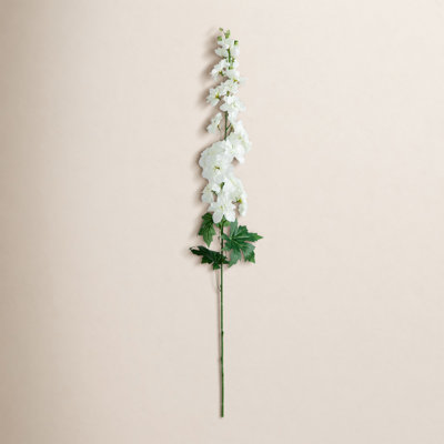 Delphinium Floral Stems
