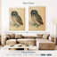 Brampt le petit hibou-108445368