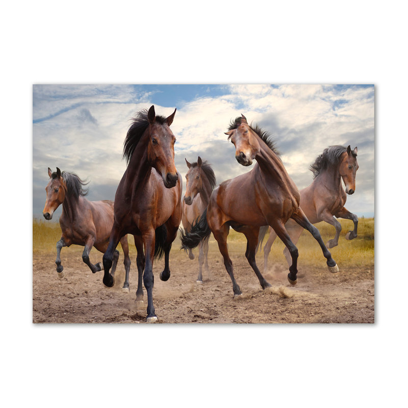 Five Horses - Wrapped Canvas Print