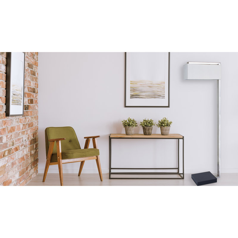 Broughton 62'' Brushed Steel Novelty Floor Lamp