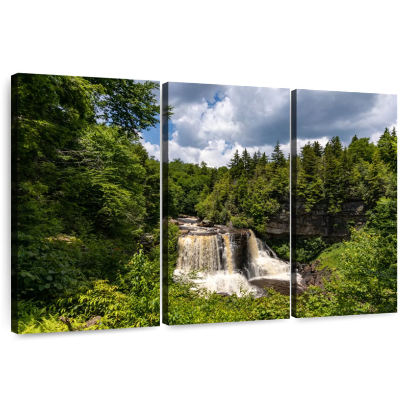 Alvord Blackwater Falls, H 32 po x l 50 po
