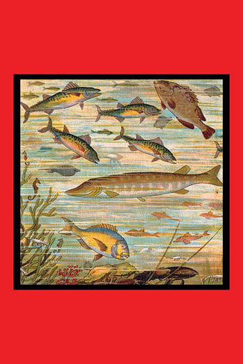 « fish pond », reproduction d’art