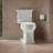 Tresham 1.28 GPF Water Efficient Elongated Two-Piece Toilet (Seat Not Included)-101431468-10642273