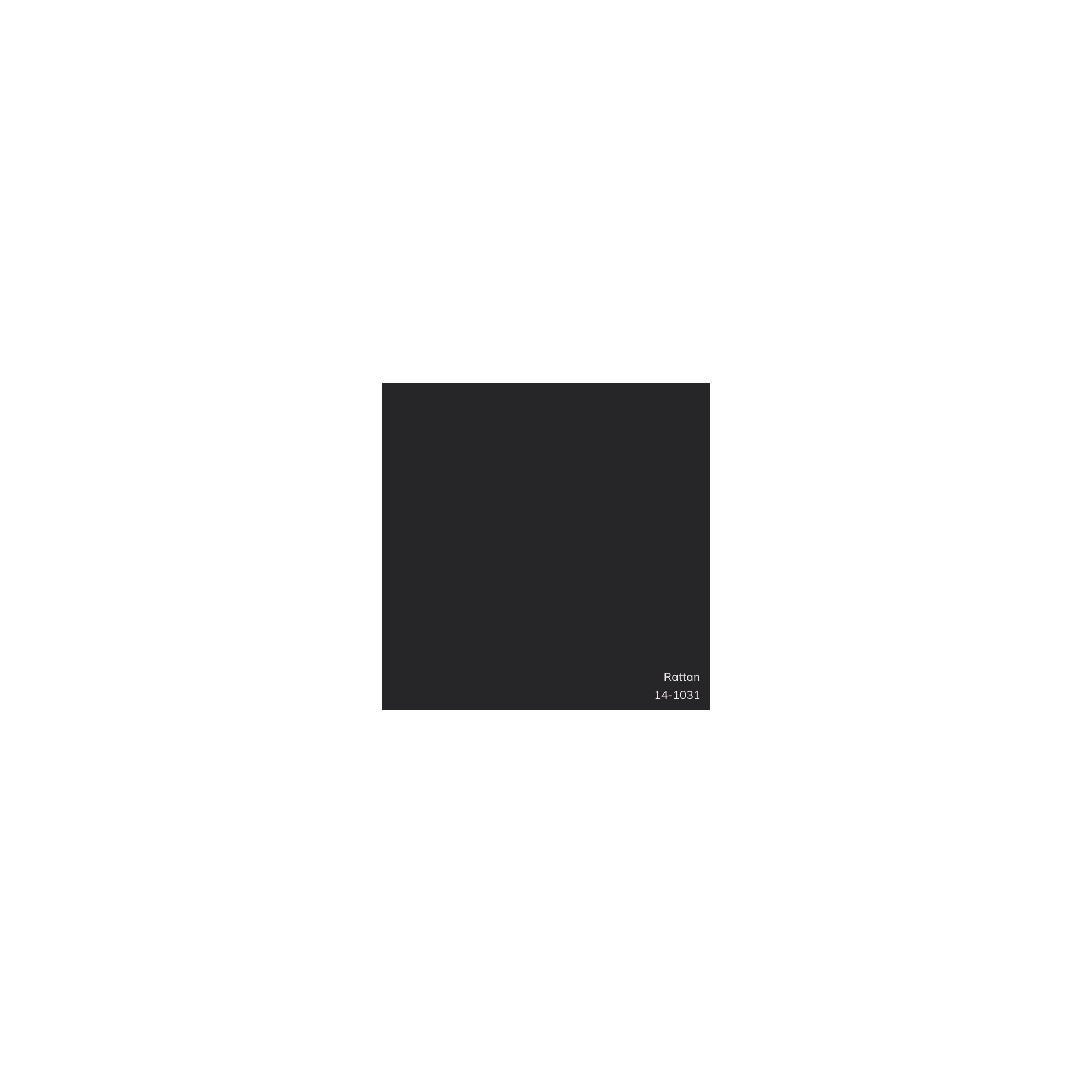 Denny Cotton Throw Square Pillow, Polyester/Polyfill, 20"H x 20"W, Black