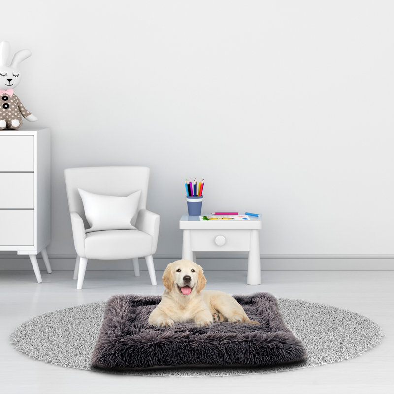 Tapis à bordure en fausse fourrure, Petit (l 18 po x P 26 po x H 2 po), Taupe