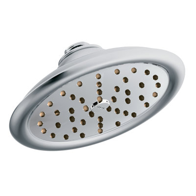 ExactTemp Rain Shower Head with Immersion