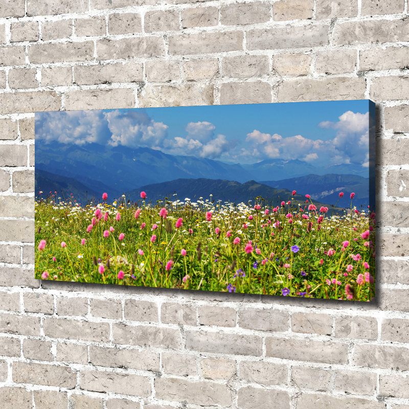 Meadow In The Mountains - Wrapped Canvas Print