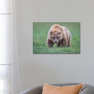 Coming Right at You by Jeffrey C. Sink - 1 Piece Wrapped Canvas Wall Art