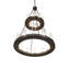 20 - Light Chandelier