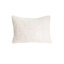 Cozy Lumbar Pillow Cover-83547266-100781899-100781900