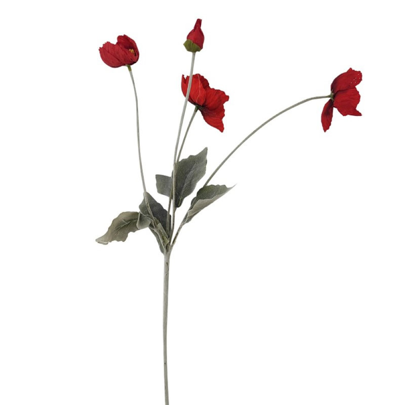 Ranunculus Arrangement, Red