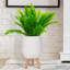 Concrete Effect Round Planter on Hardwood Legs, Round Indoor Plant Pot Stand for Indoor Plants, Indoor Flower Pot with Honeycomb Pattern-818477277-818477286