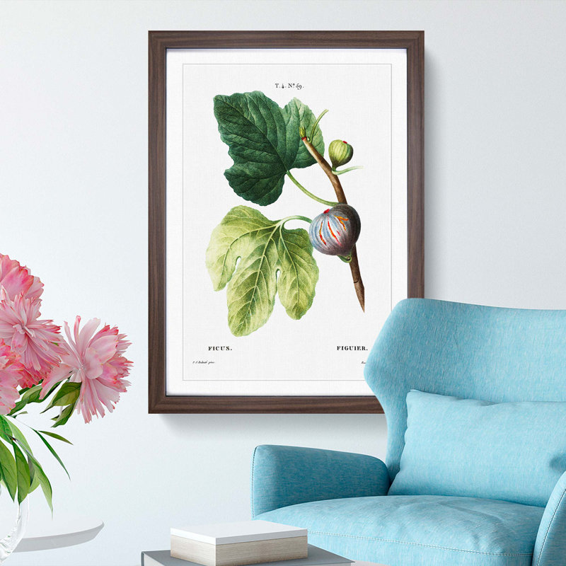Fig Tree by Pierre-Joseph Redoute - Picture Frame Graphic Art Print on MDF, Walnut Framed, 36cm H x 27cm W x 2cm D